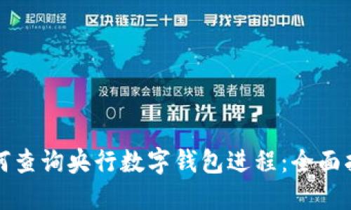 如何查询央行数字钱包进程：全面指南