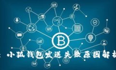 : 小狐钱包发送失败原因解析