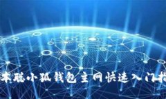 中本聪小狐钱包主网快速