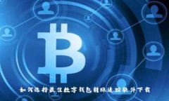 如何选择最佳数字钱包转
