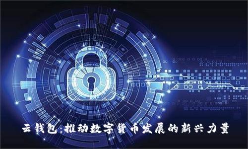 云钱包：推动数字货币发展的新兴力量