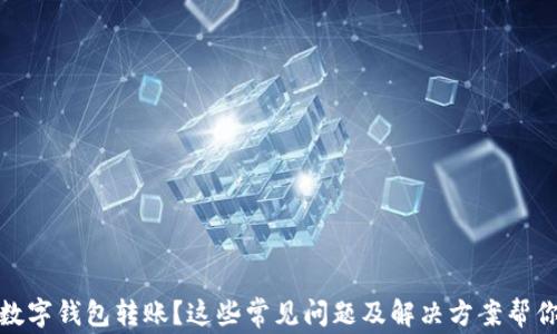 
没有收到数字钱包转账？这些常见问题及解决方案帮你找回资金