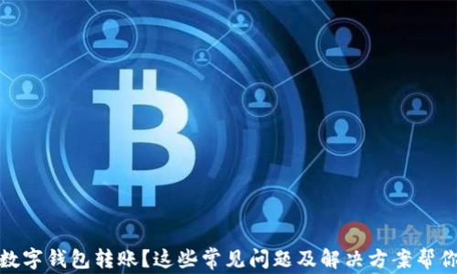
没有收到数字钱包转账？这些常见问题及解决方案帮你找回资金