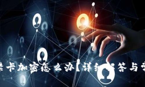 vivo钱包门禁卡加密怎么办？详细解答与常见问题解析