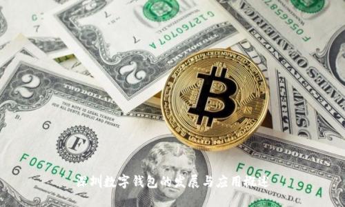 深圳数字钱包的发展与应用概述