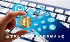 数字钱包无法还款的原因