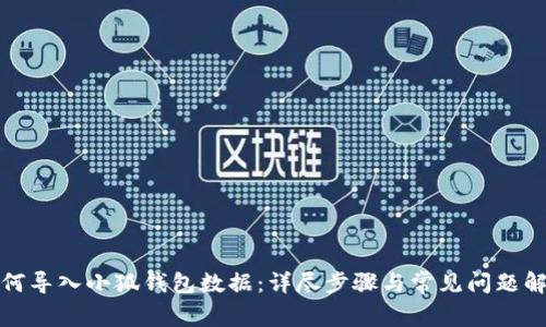 如何导入小狐钱包数据：详尽步骤与常见问题解答
