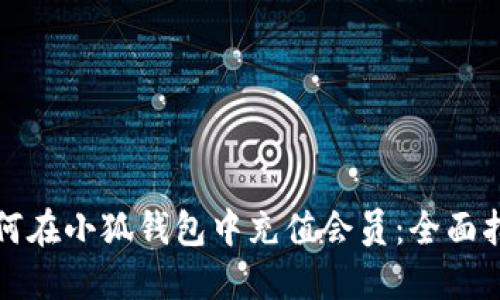 如何在小狐钱包中充值会员：全面指南