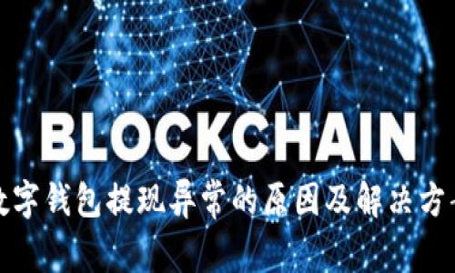 数字钱包提现异常的原因及解决方案