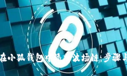 如何在小狐钱包中添加波场链：步骤与指南