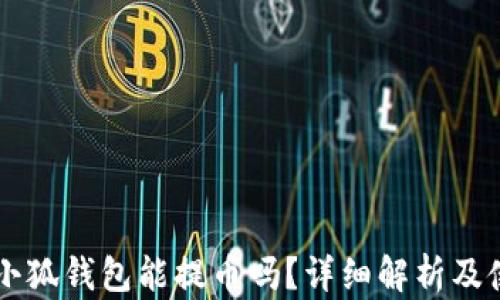 
中本聪小狐钱包能提币吗？详细解析及使用指南