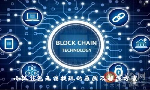 小狐钱包无法提现的原因及解决方案