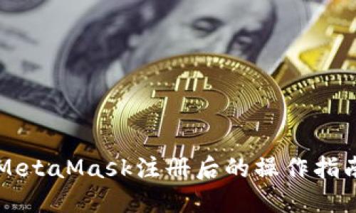 MetaMask注册后的操作指南