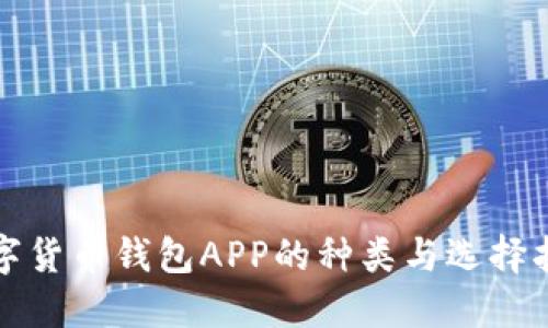 数字货币钱包APP的种类与选择指南