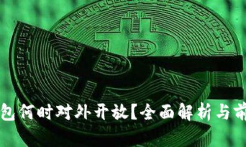 数字钱包何时对外开放？全面解析与前景展望