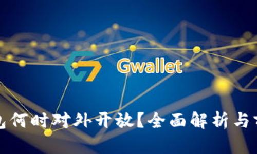 数字钱包何时对外开放？全面解析与前景展望