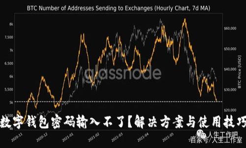 数字钱包密码输入不了？解决方案与使用技巧