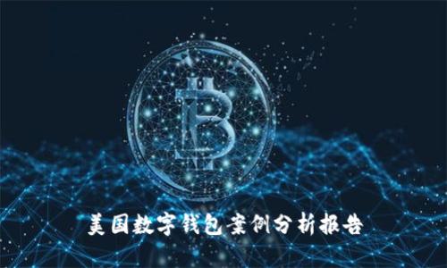 美国数字钱包案例分析报告
