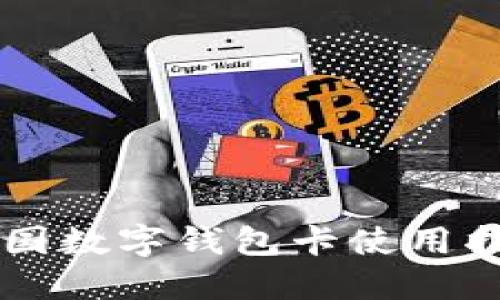 美国数字钱包卡使用指南