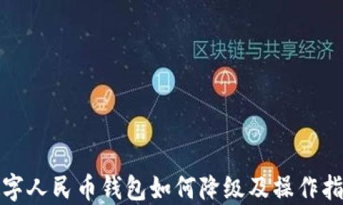 
数字人民币钱包如何降级及操作指南