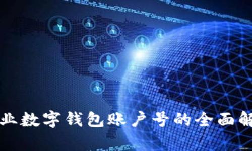 农业数字钱包账户号的全面解析