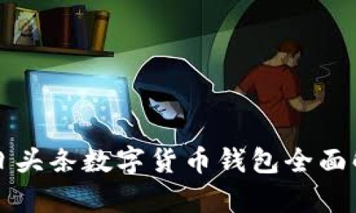 今日头条数字货币钱包全面解析