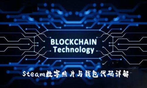  Steam数字照片与钱包代码详解