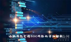 小狐钱包支持BSC网络的详