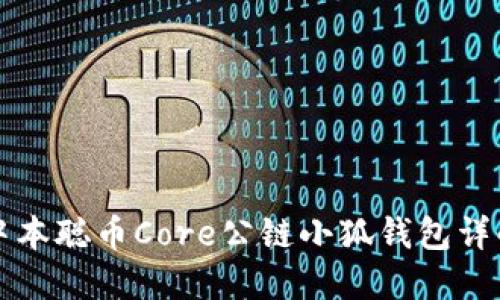中本聪币Core公链小狐钱包详解