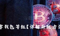 如何升级数字钱包等级？详解升级方法与注意事