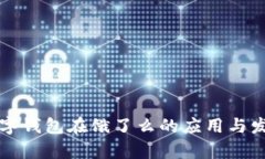 上海数字钱包在饿了么的应用与发展分析