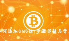 小狐钱包如何添加BNB链：步骤详解与常见问题解