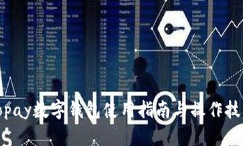 Topay数字钱包使用指南与操作技巧