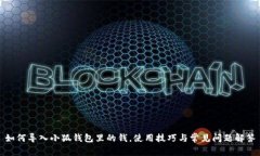 如何导入小狐钱包里的钱，使用技巧与常见问题