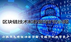 小狐钱包跨链功能详解：掌握你的数字资产