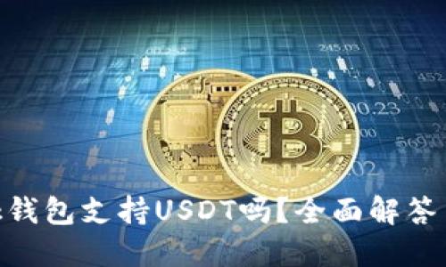 MetaMask钱包支持USDT吗？全面解答与使用指南