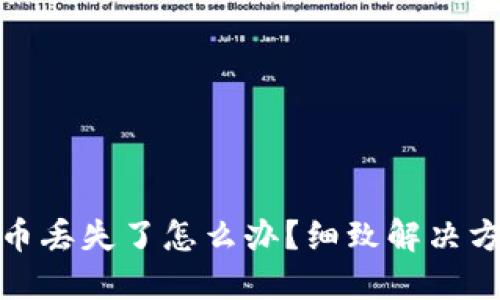 小狐钱包币丢失了怎么办？细致解决方案大揭秘