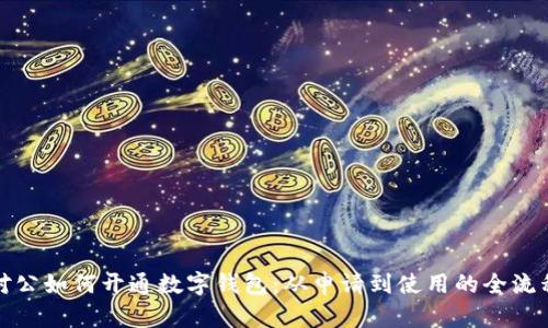 对公如何开通数字钱包：从申请到使用的全流程
