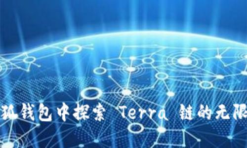在小狐钱包中探索 Terra 链的无限可能
