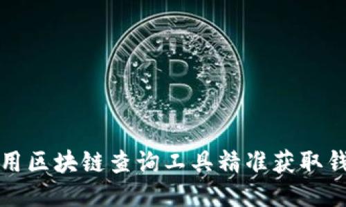 如何使用区块链查询工具精准获取钱包信息