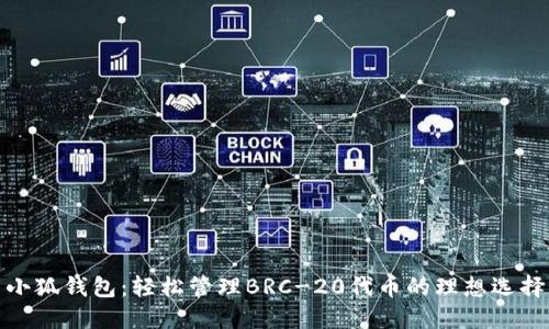 小狐钱包：轻松管理BRC-20代币的理想选择