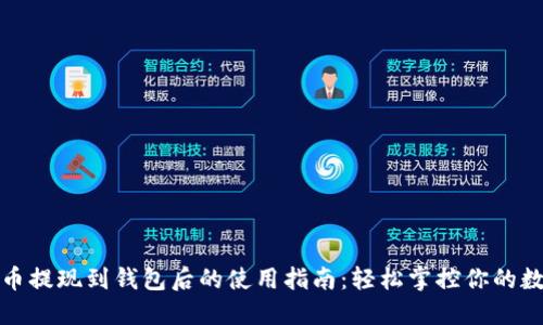 加密货币提现到钱包后的使用指南：轻松掌控你的数字资产