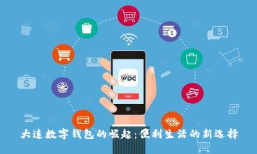 大连数字钱包的崛起：便利生活的新选择