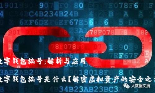 数字钱包编号：解析与应用

数字钱包编号是什么？解密虚拟资产的安全之钥