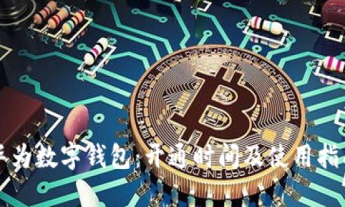 华为数字钱包：开通时间及使用指南