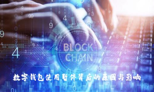 数字钱包使用暂停背后的原因与影响