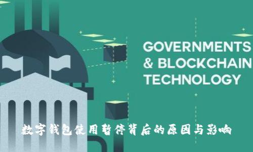 数字钱包使用暂停背后的原因与影响