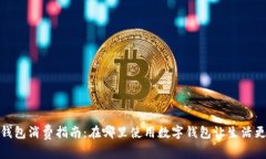 数字钱包消费指南：在哪