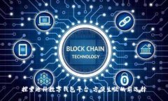 探索迪拜数字钱包平台：