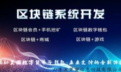 揭秘美团数字货币子钱包：未来支付的全新体验